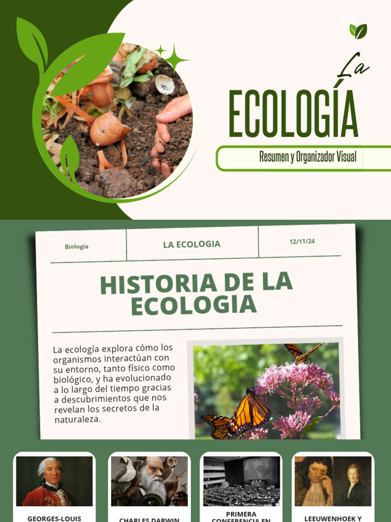 Organizador Visual de la Ecología | PDF | Ecología | Biología