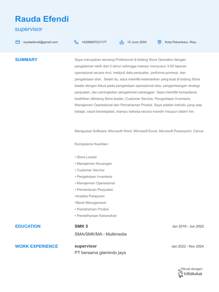 Profil Profesional Rauda Efendi | PDF