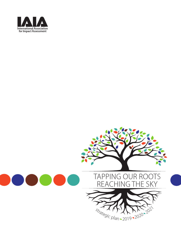 Strategic Plan Summary Pdf Governance Sustainability