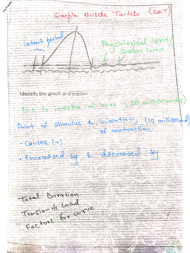 Amphibian Muscle Nerve | PDF