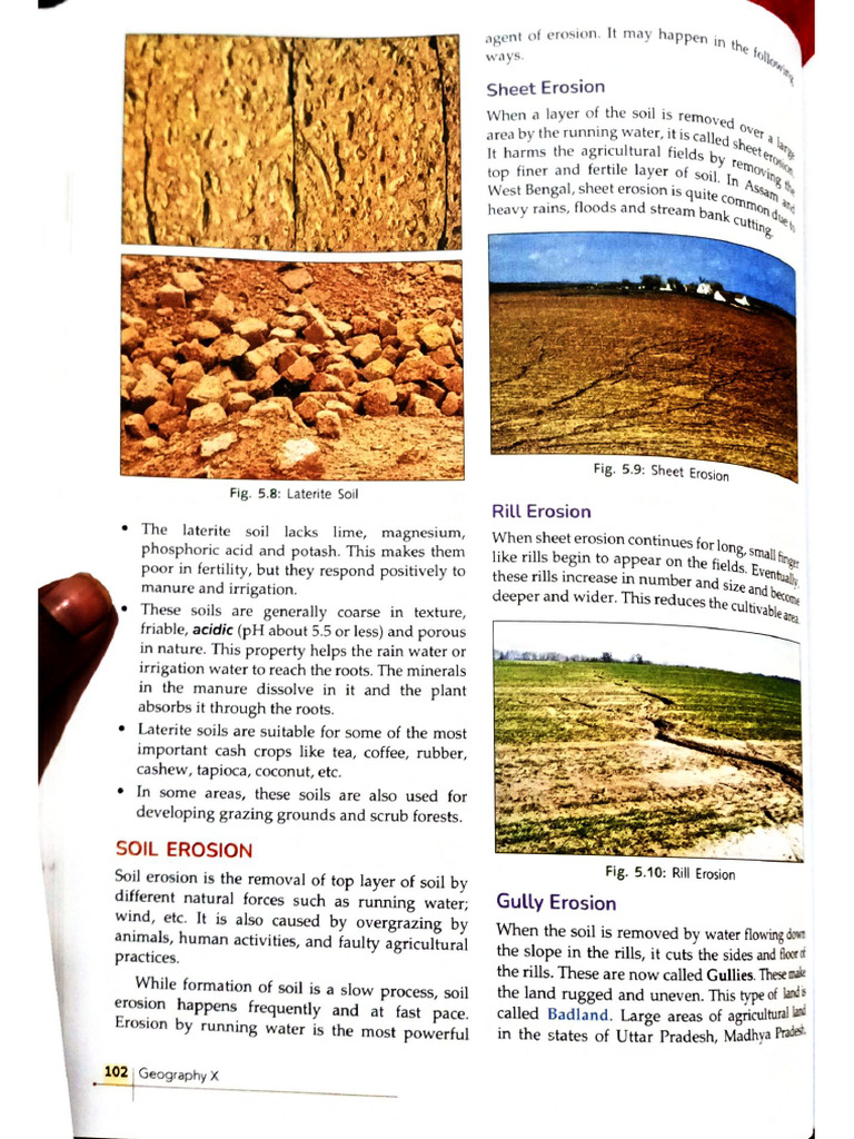 Document 31 | PDF