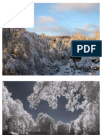 Winter Finland In