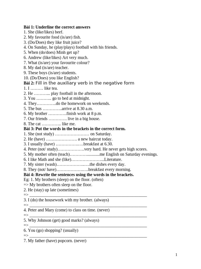 English Grammar Exercises for Beginners | PDF