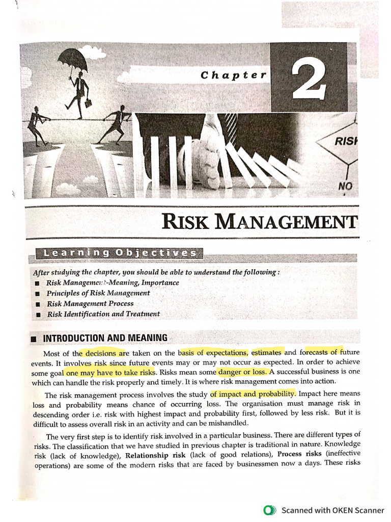 Risk Management | PDF