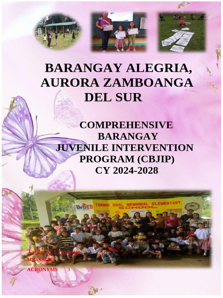 CBJIP Work and Financial Plan 2024-2028 | PDF | Juvenile Delinquency ...