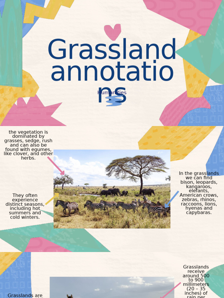 Grasslands | PDF