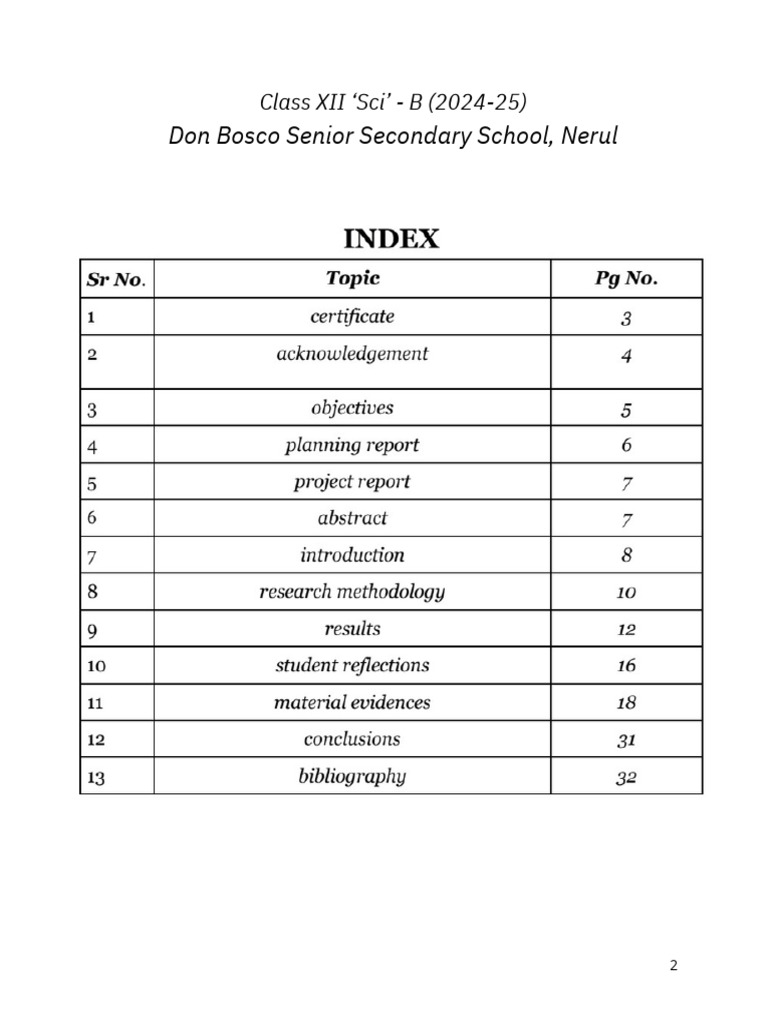 Internet Safety Awareness Project Report | PDF | Computer Security ...