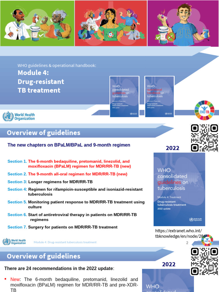 2022 WHO Guidelines for Drug-Resistant TB | PDF | Tuberculosis | Human ...