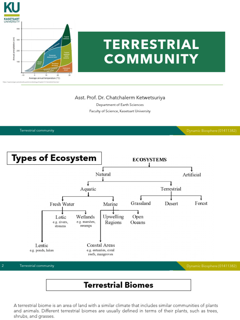 Terrestrial Community | PDF | Forests | Tropics