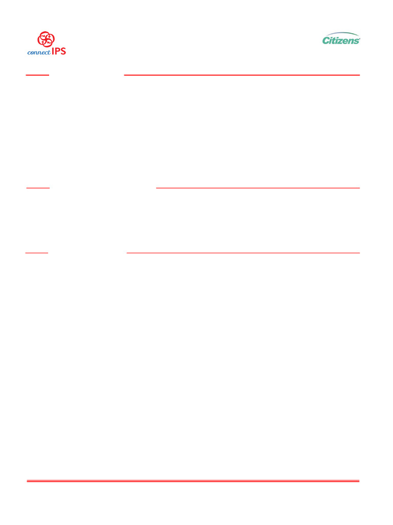 connectIPS Payment Transaction Summary | PDF
