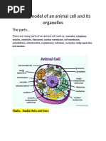Animal Cell Diagram | PDF