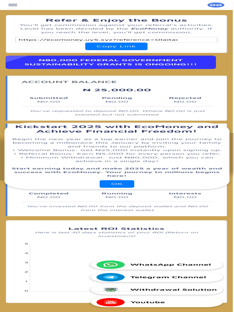 EcoMoney Account Balance Overview | PDF