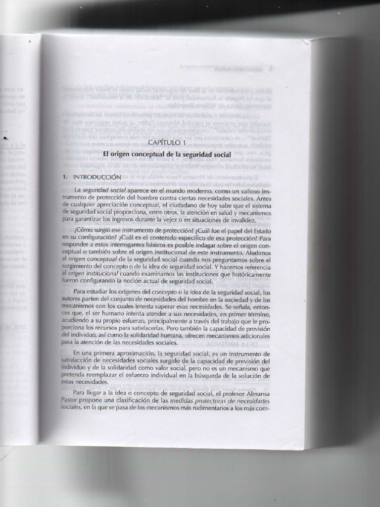 Capitulo 1 | PDF