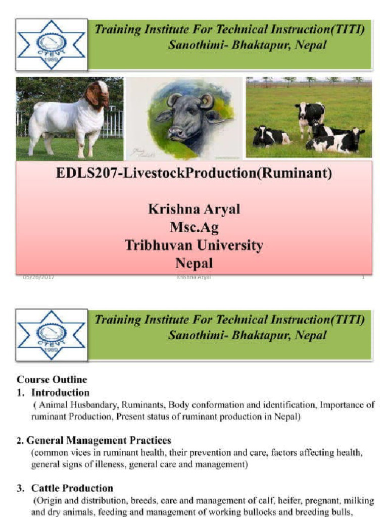 Ruminant | PDF