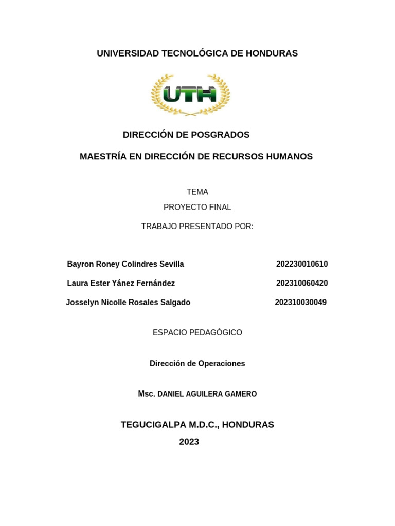 Proyecto Final | PDF