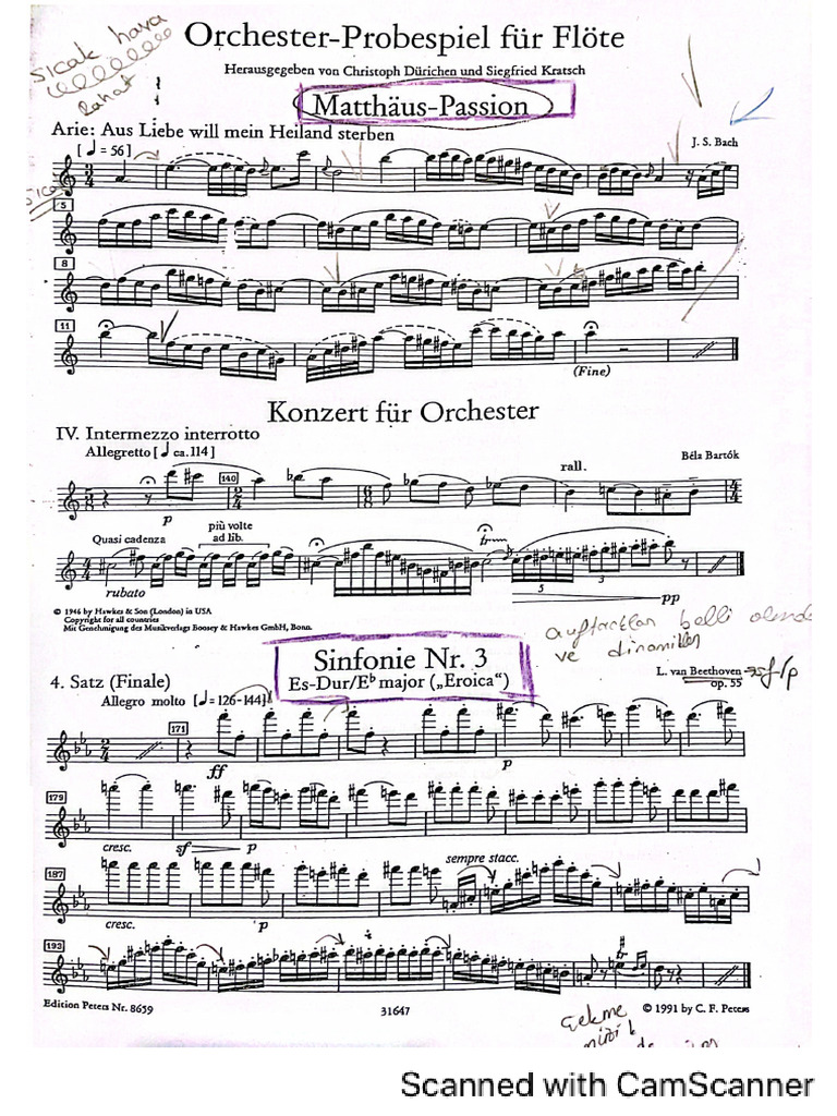 Orchestra Solos | PDF