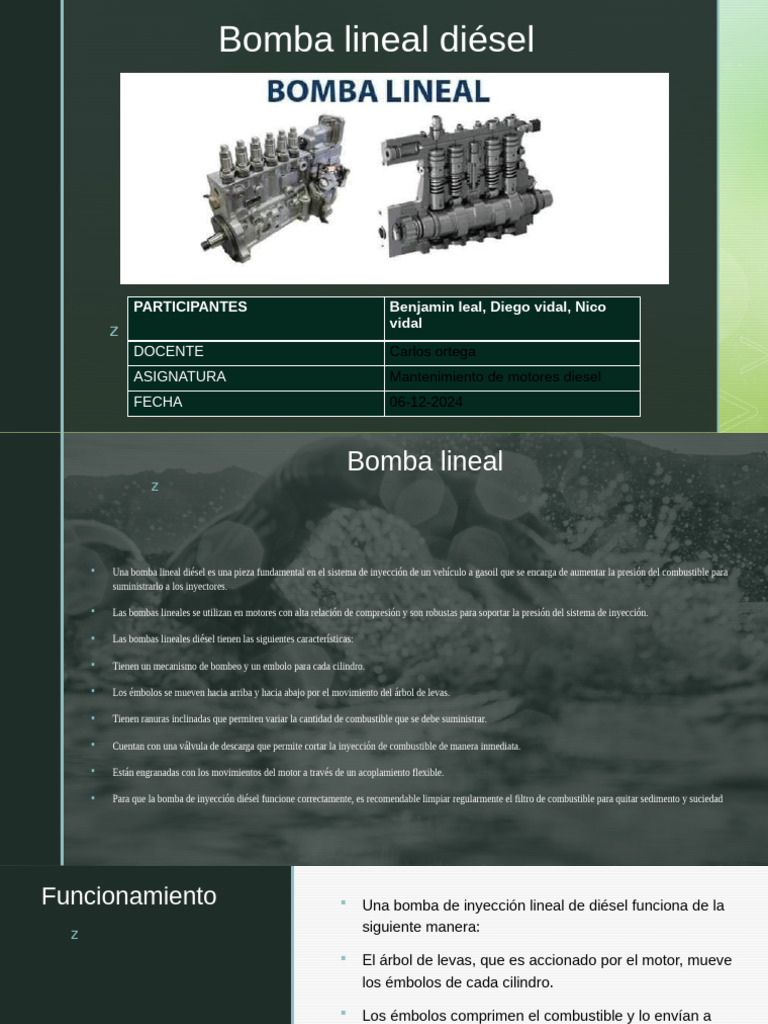 Bomba Lineal Diésel: Guía Técnica | PDF | Inyección de combustible ...