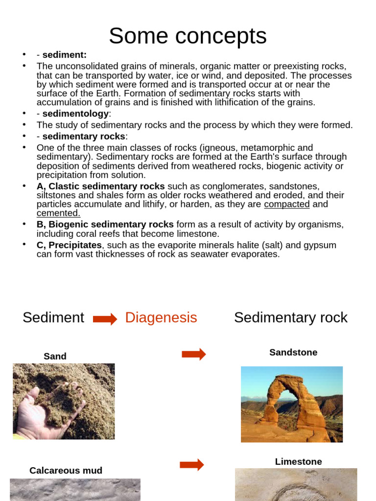 01. Some concepts | PDF | Sedimentary Rock | Rock (Geology)