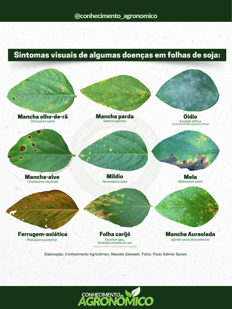 quadro-doen-as-da-soja-gratuito-pdf