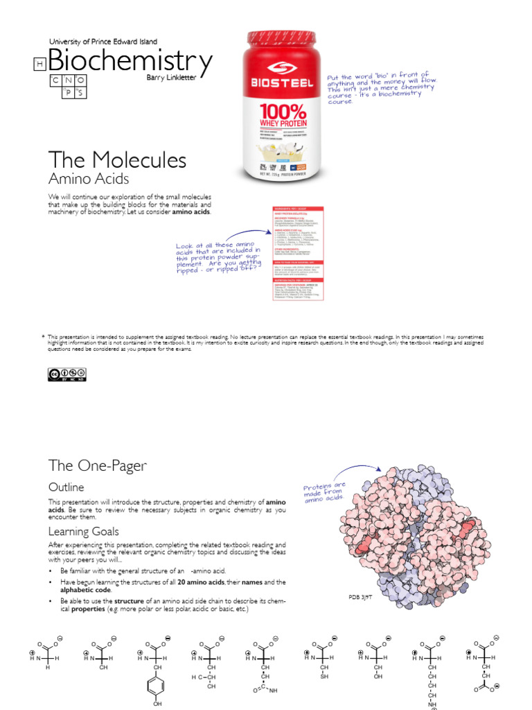 Understanding Amino Acids in Biochemistry | PDF | Amino Acid | Cysteine