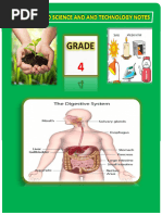 Grade 4 Science & Technology Notes | PDF | Lever | Digestion