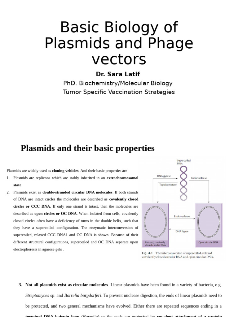 Basic Biology of Plasmid and Phage Vectors | PDF | Molecular Cloning ...