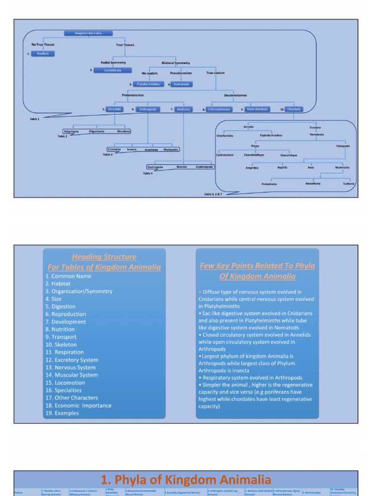Tables of Kingdom Animalia | PDF