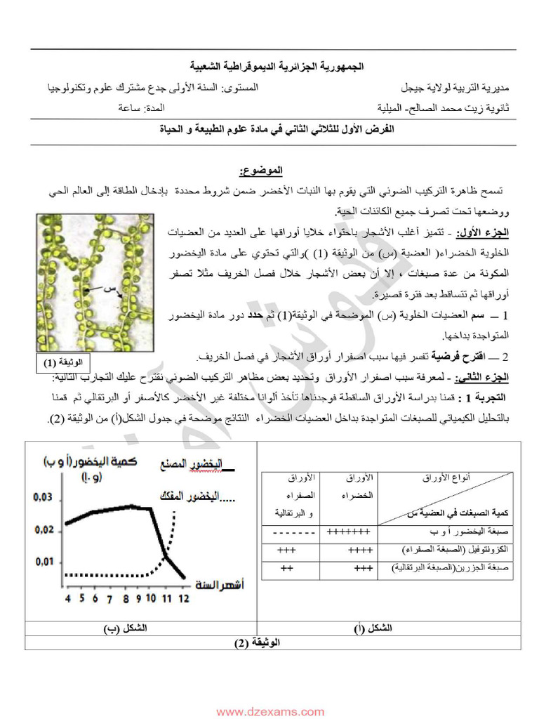 Sara . | PDF