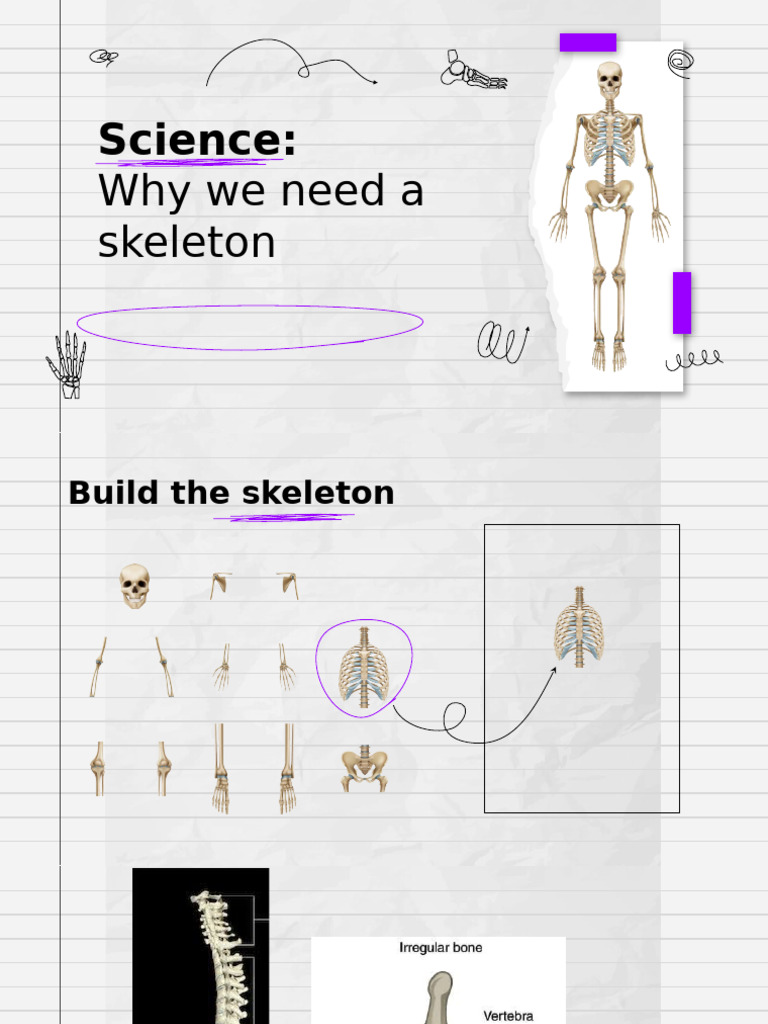 Importance of Skeletons in Biology | PDF