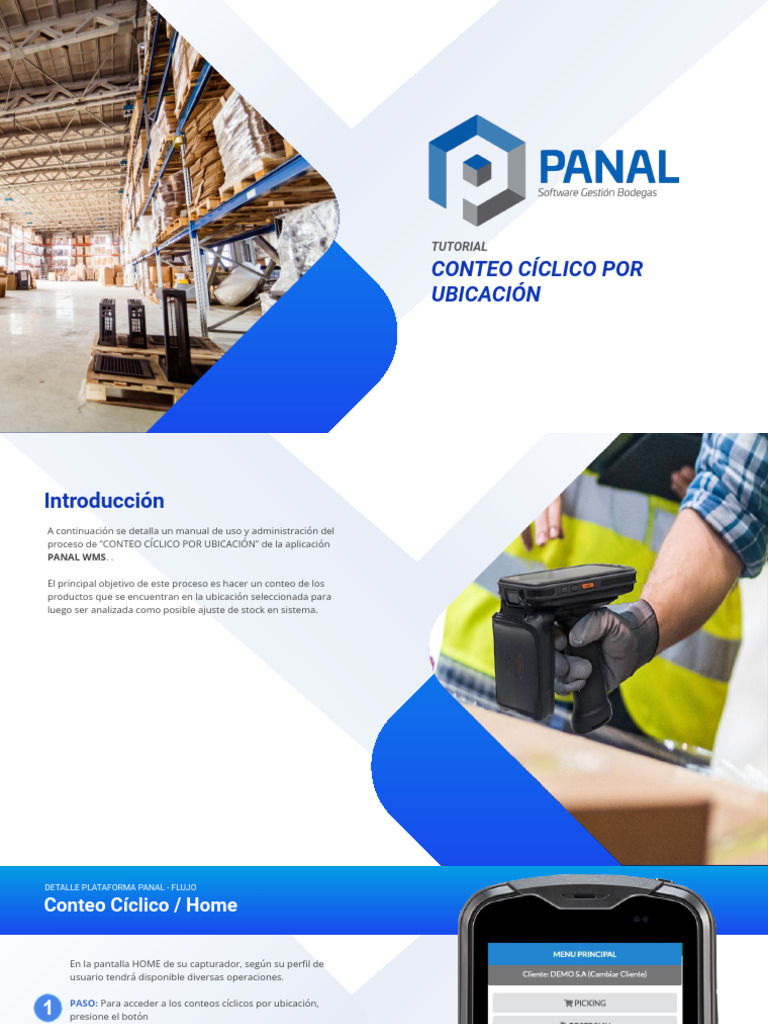 Guía de Conteo Cíclico en PANAL WMS | PDF