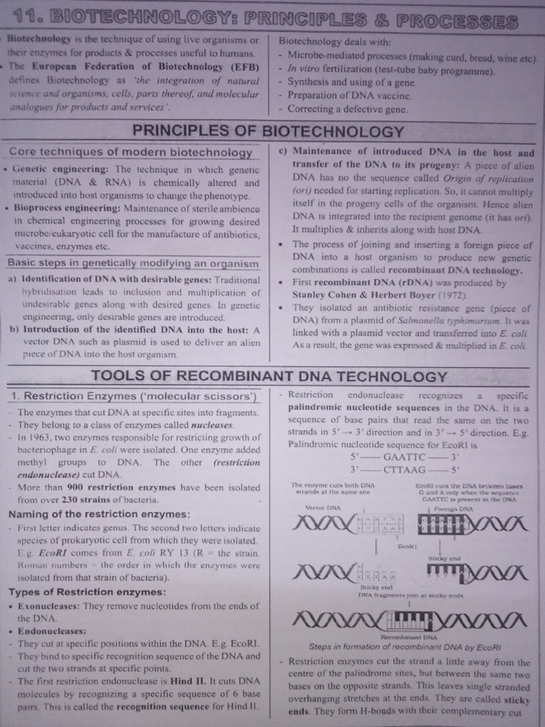 Principles of Biotechnology Explained | PDF | Molecular Cloning | Plasmid