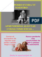 Si Un Perro...