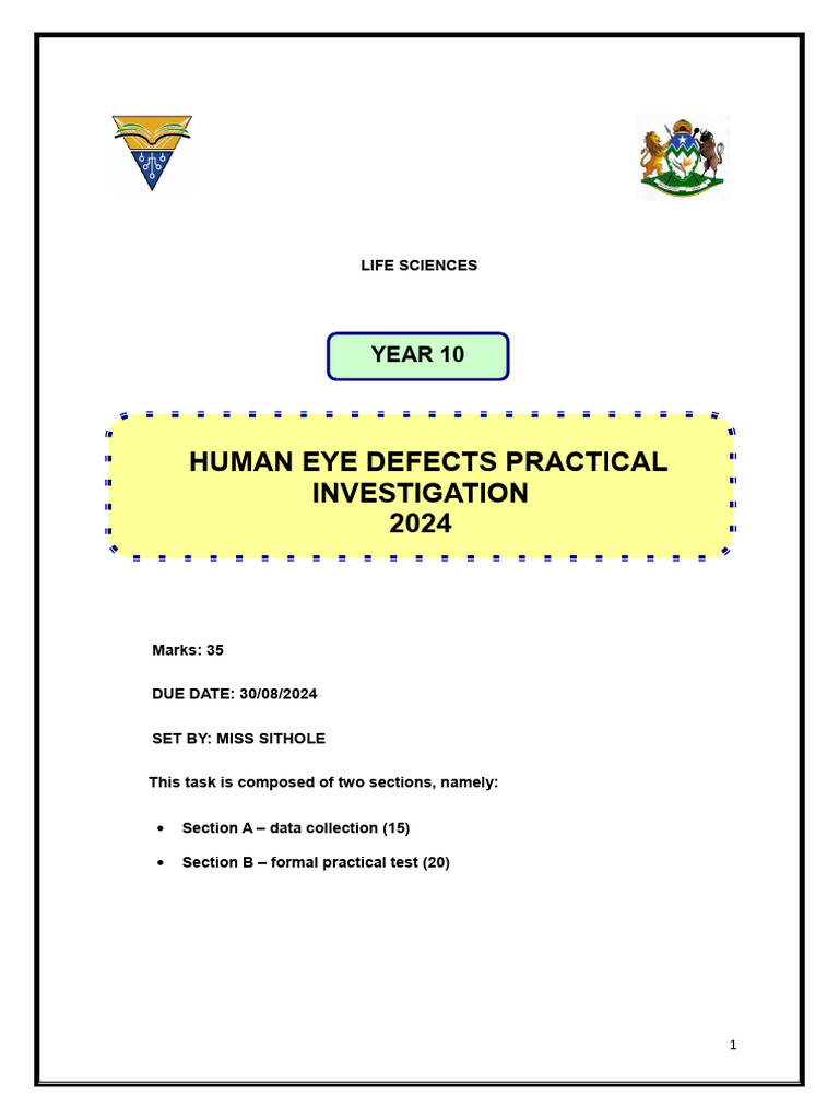 Year 10 Eye Defects Investigation Guide | PDF | Visual Acuity | Visual ...