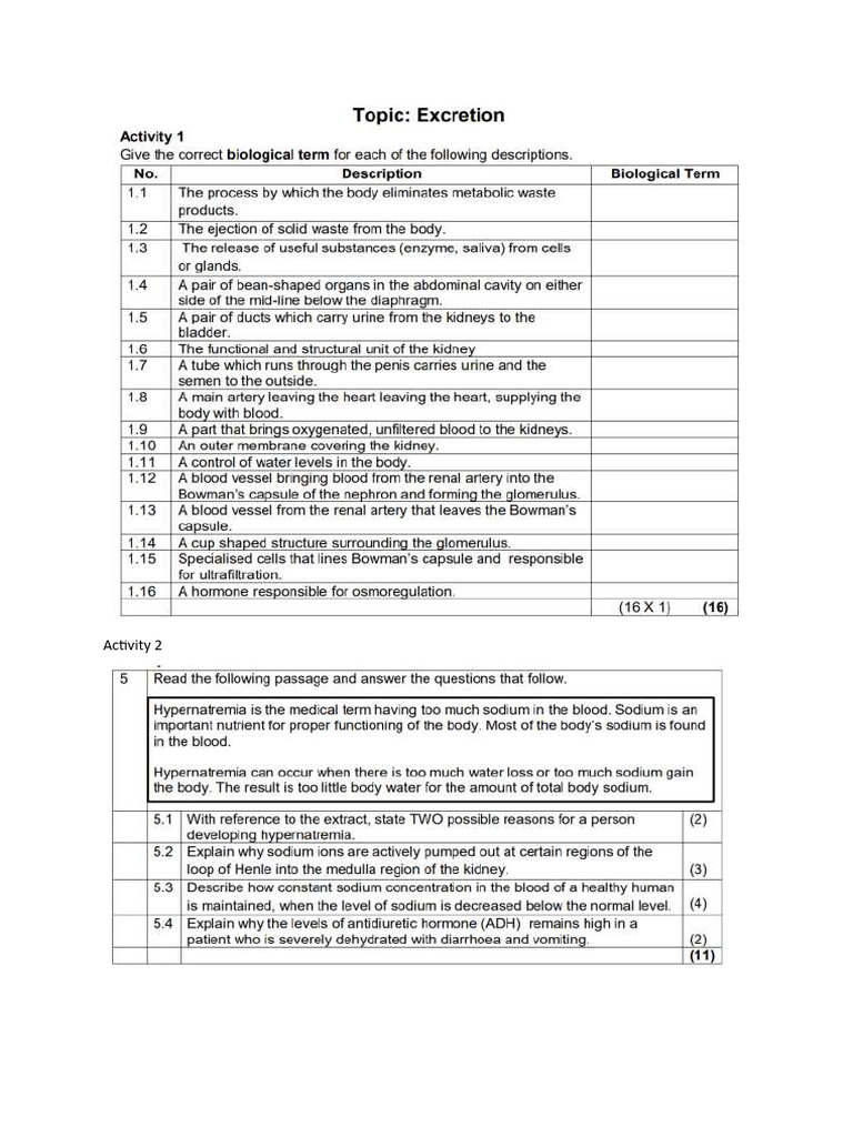 Excretion 2 Pdf