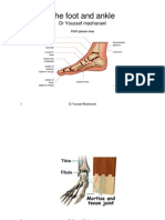 Foot and Ankle