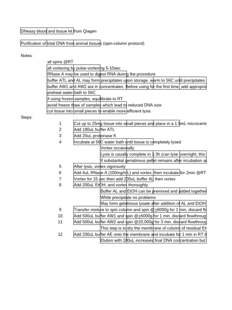 DNA Purification Protocol with DNeasy Kit | PDF | Lysis | Biology