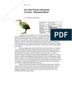 Perlita (X-3_27) Sulawesi Barat