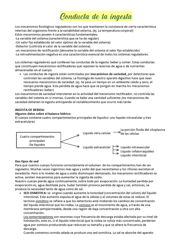 Conducta de La Ingesta | PDF | Insulina | Glucógeno