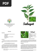 Saluyot benefits image