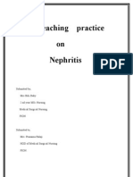 Nephritis