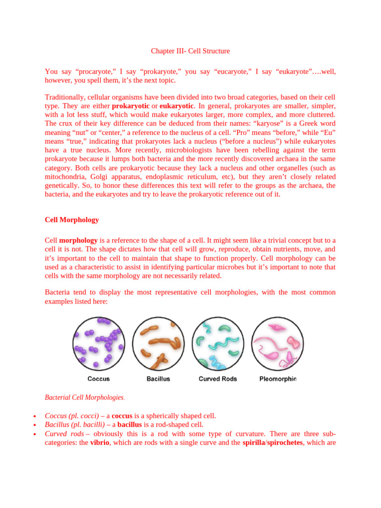 Prokaryotic vs Eukaryotic Cell Structure | PDF | Cell Membrane | Cell ...