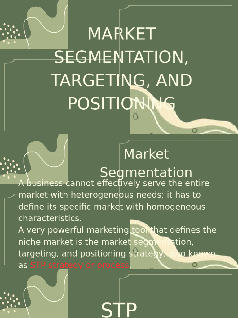 STP Strategy: Market Segmentation Insights | PDF | Marketing | Market ...