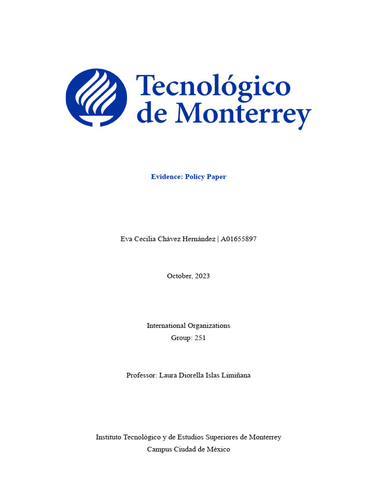 Policy Paper | PDF | Human Migration | Non Governmental Organization