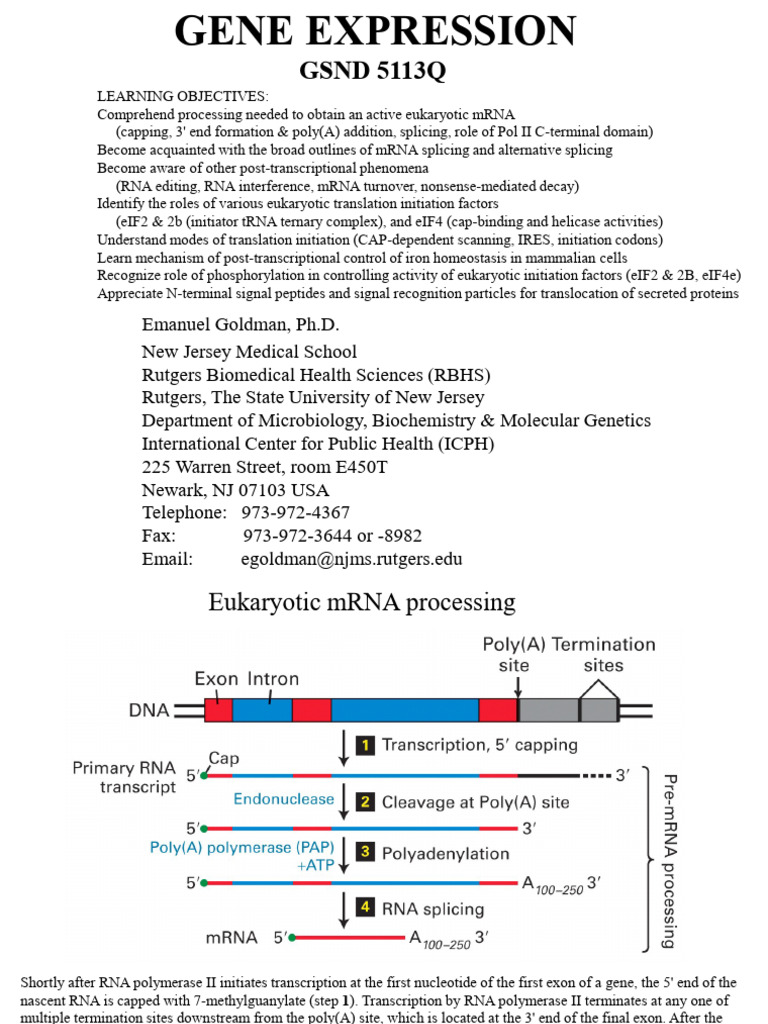 Eukaryotic mRNA Processing Overview | PDF | Messenger Rna | Rna Splicing