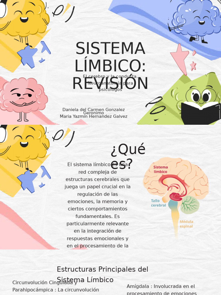 Funciones del Sistema Límbico en Humanos | PDF | Las emociones ...