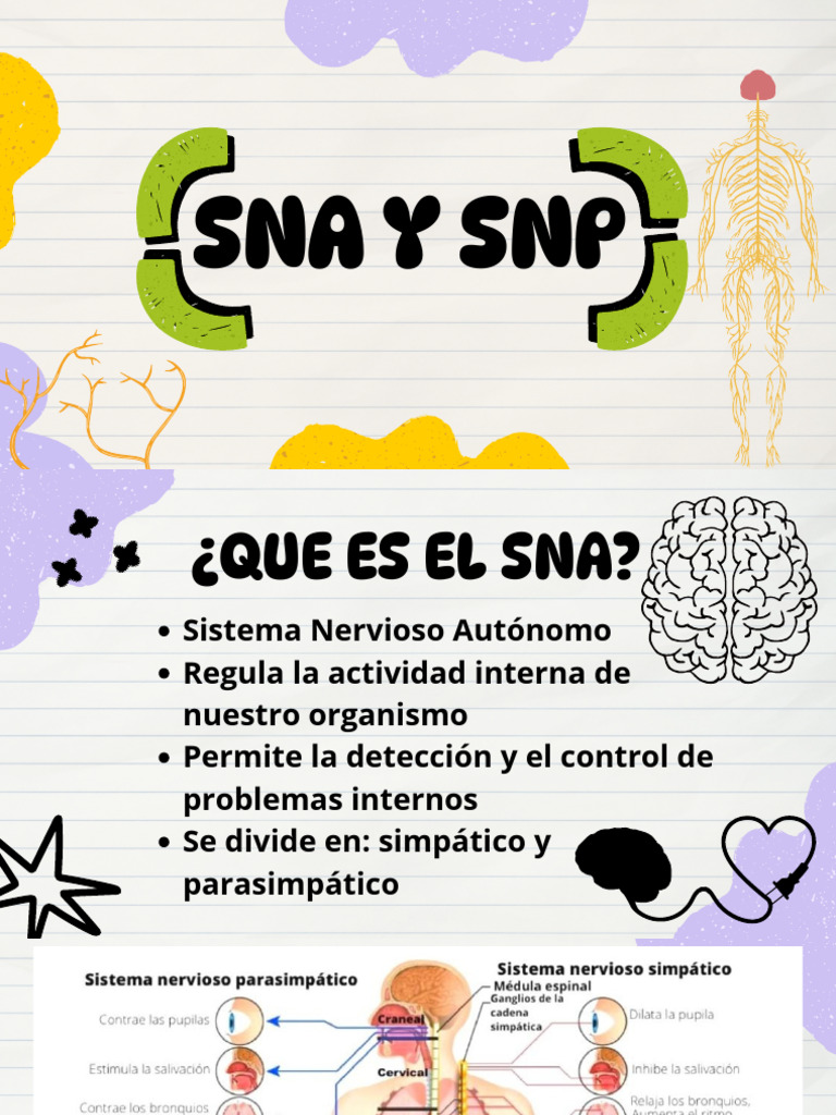 SNA y SNP | PDF