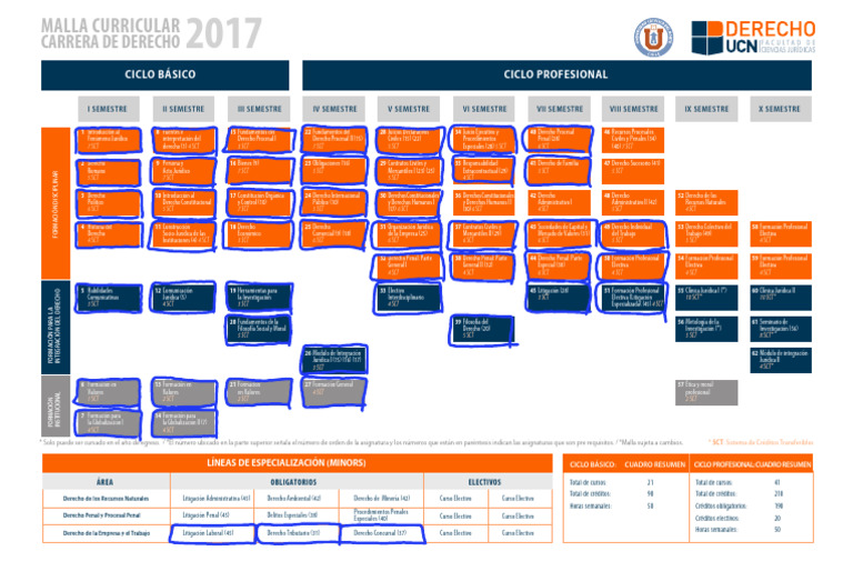 Malla Curricular de la Carrera de Derecho | PDF | Ley procesal ...
