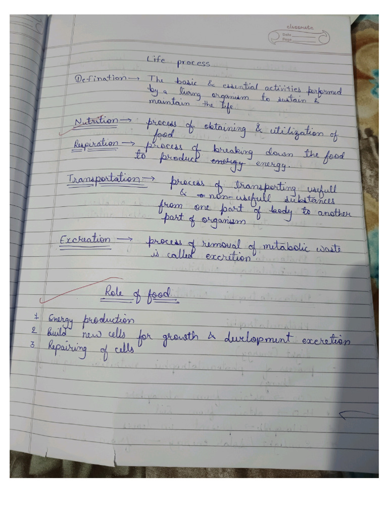 biology notes class 10 | PDF