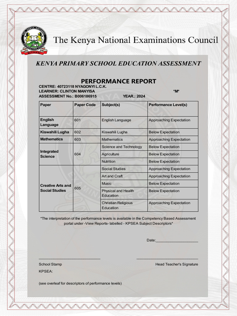 2024 KPSEA Performance Report | PDF