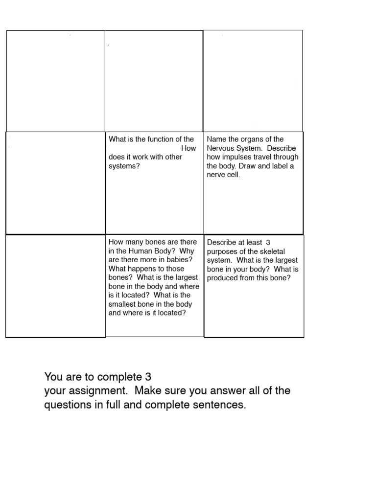 Body Systems Tic-Tac-Toe Assignment | PDF | Human Body | Organ (Anatomy)